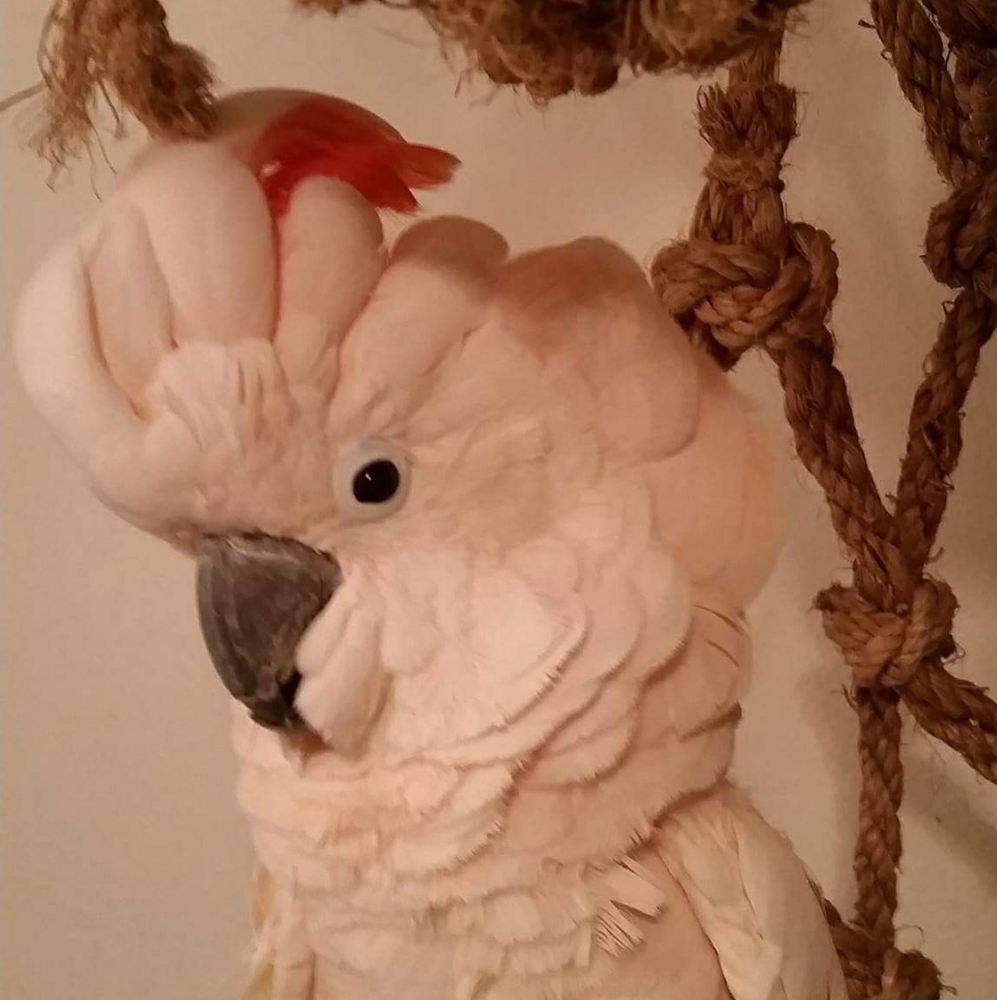Here selling my charm, personality and good looks.